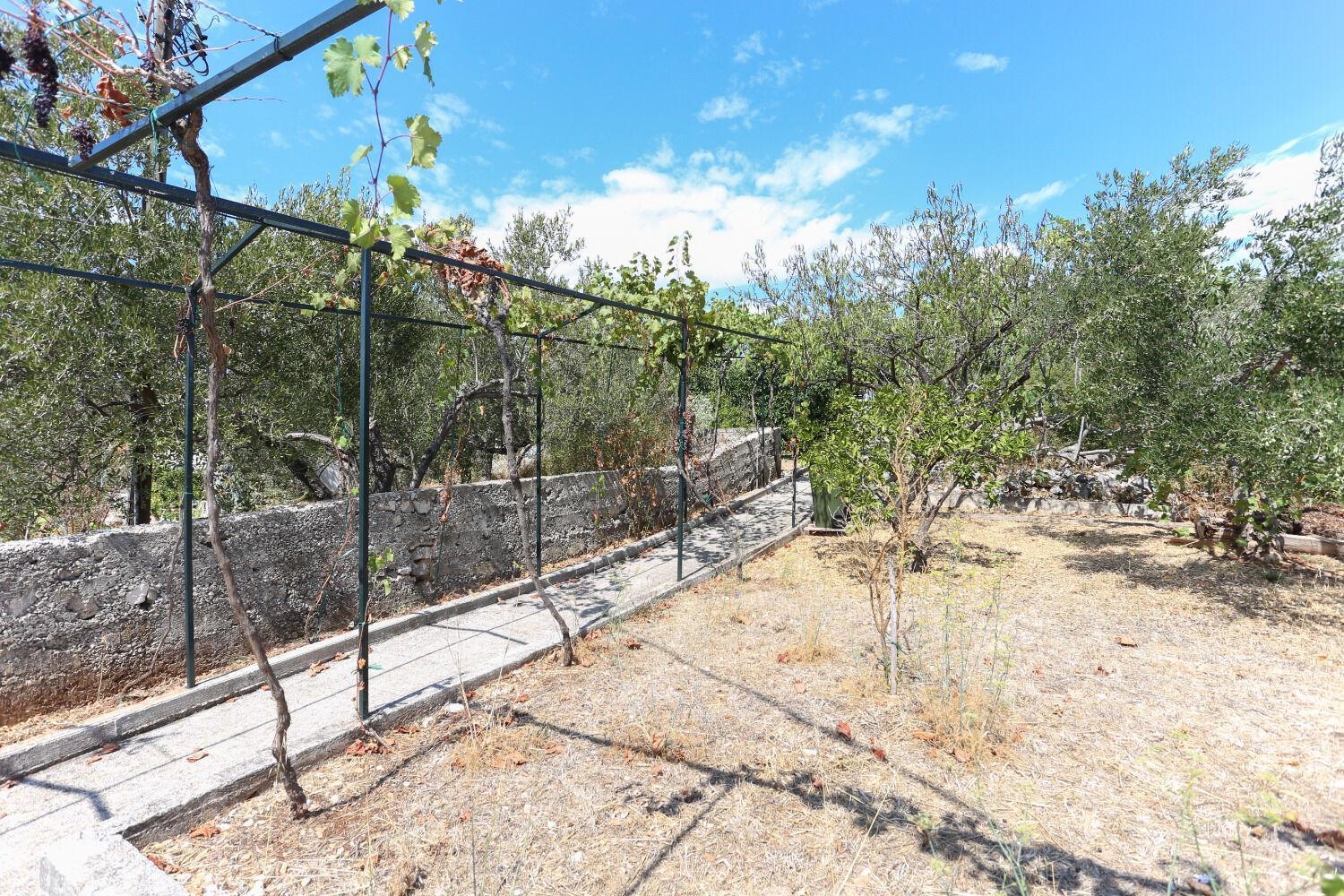 Holiday Home Marcelo-With Terrace Vinišće Εξωτερικό φωτογραφία